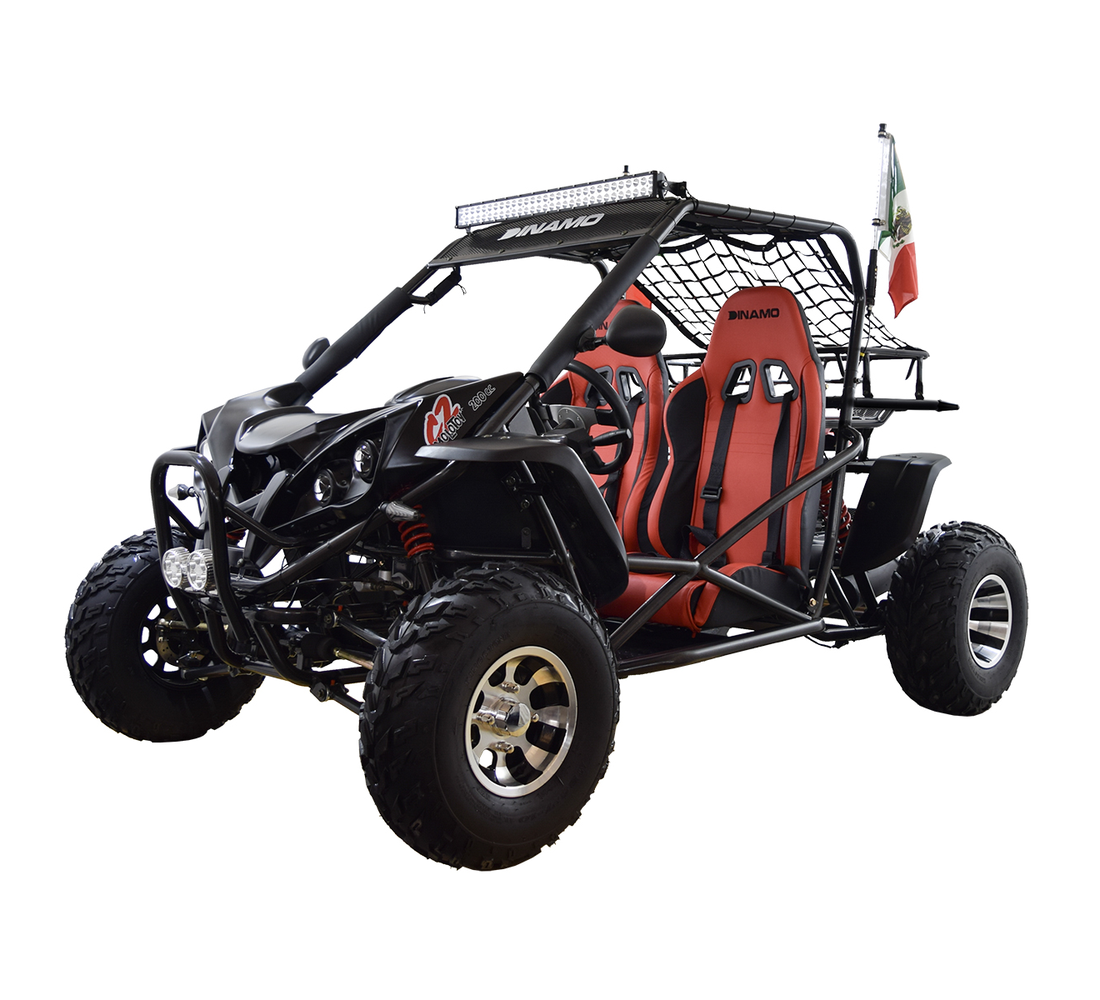 Dinamo Molotov C2 Galeria1 Galgo México