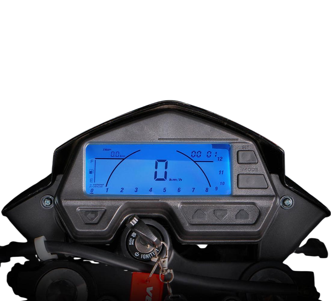 Veloci Steeler Imagen principal Galgo