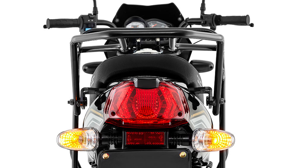 SPORT 100 ELS CARGO-2 Galgo Colombia