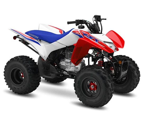Honda TRX250X Imagen principal Galgo México