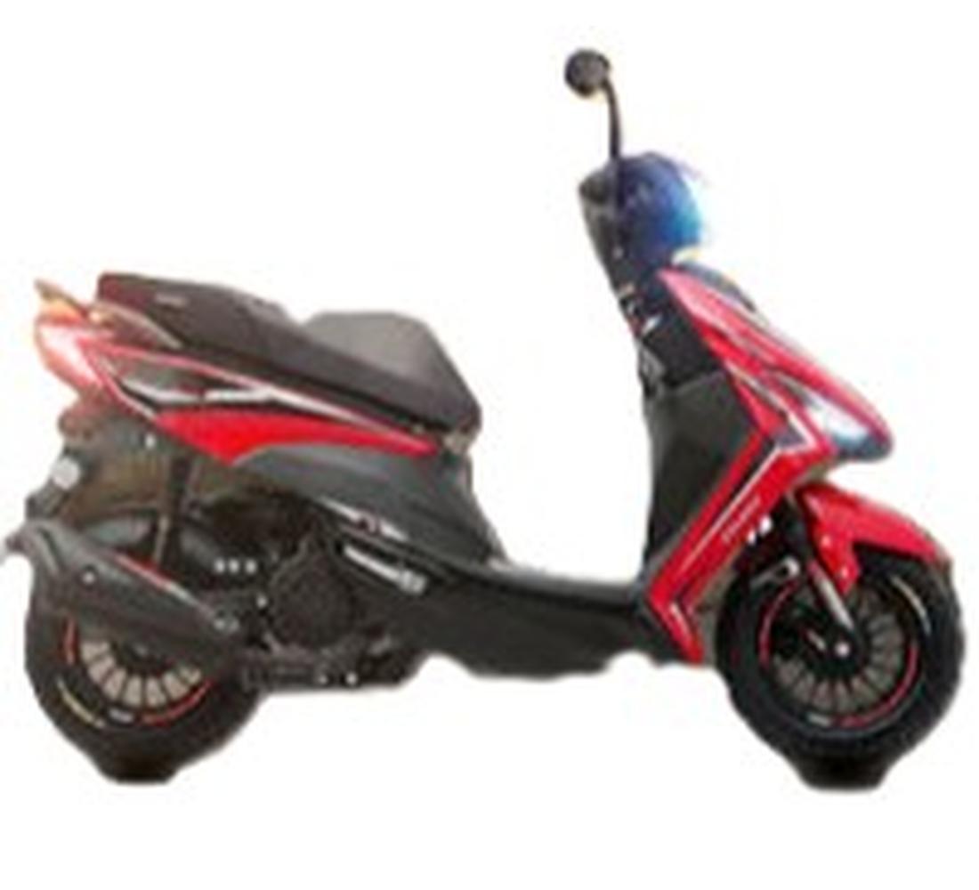 Veloci Hasback Galeria1 Galgo