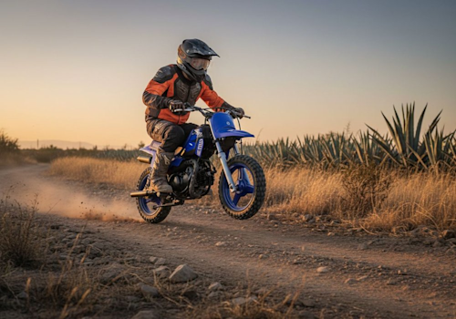 Yamaha PW50 Lifestyle3 Galgo