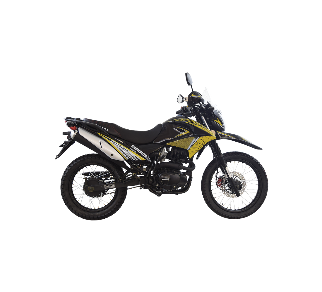Dinamo Scorpion 200 Galeria7 Galgo México