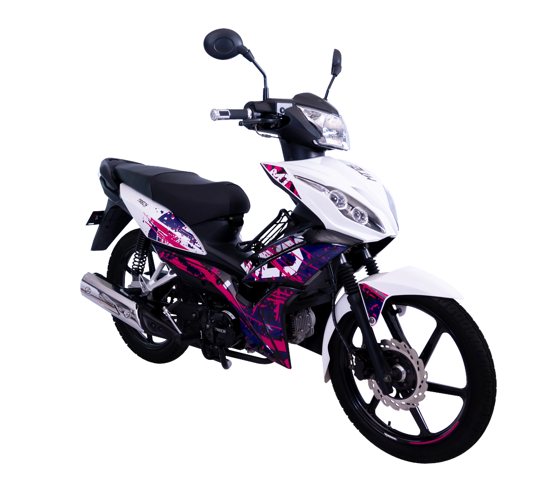 Treck MT 125 Imagen principal Galgo