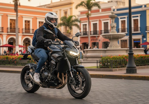 Kawasaki Z900 Lifestyle1 Galgo