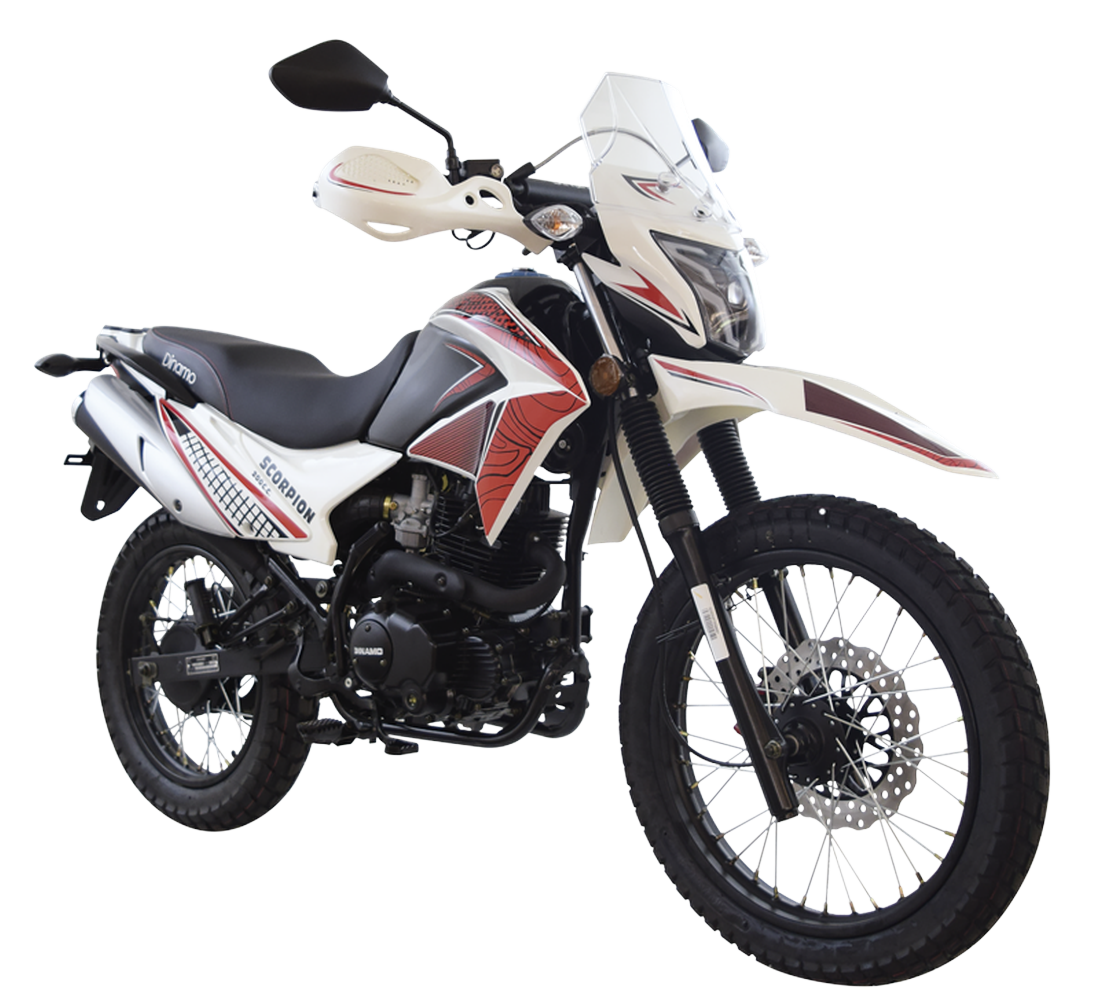 Dinamo Scorpion 200 Galeria1 Galgo México