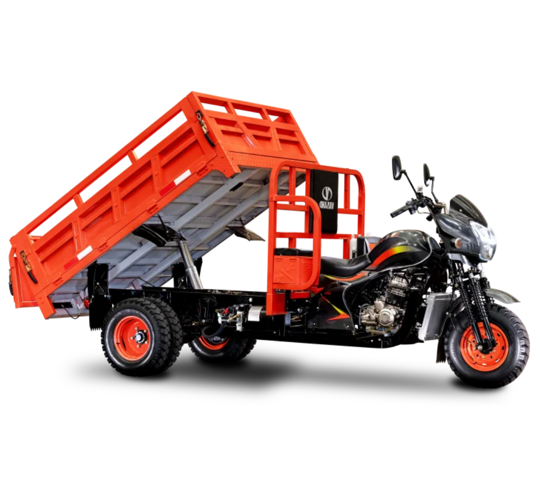 Vaisand DB300ZH Imagen principal Galgo