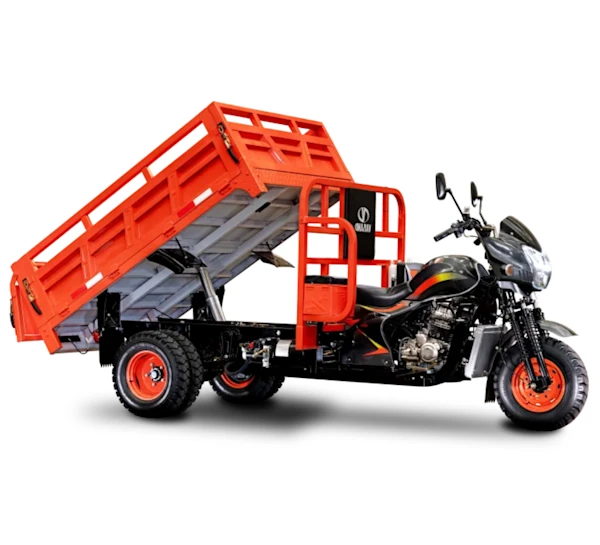 Vaisand DB300ZH Imagen principal Galgo