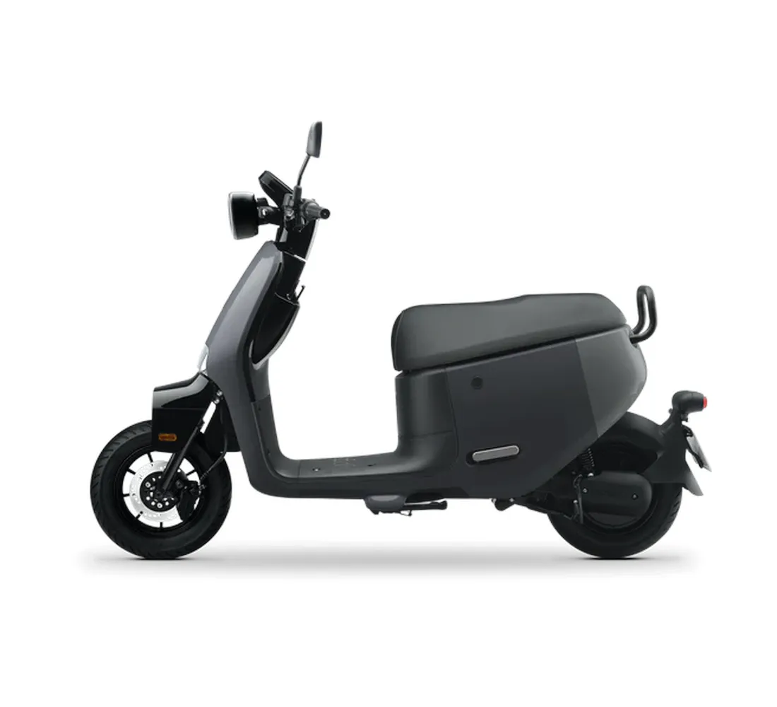 Jego Galeria7 Galgo Chile