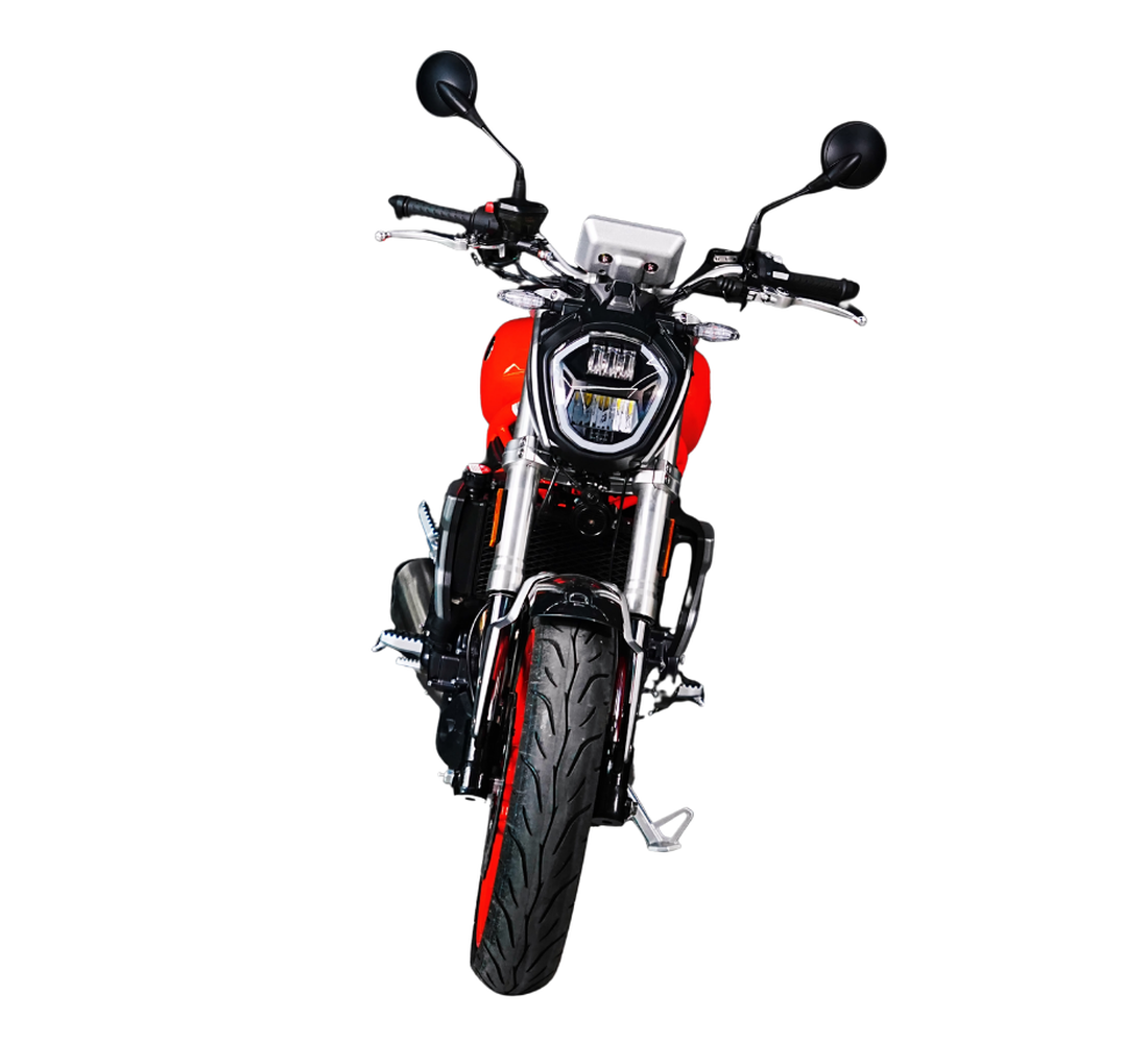 Sharmax RST 501 Zooma Galeria4 Galgo