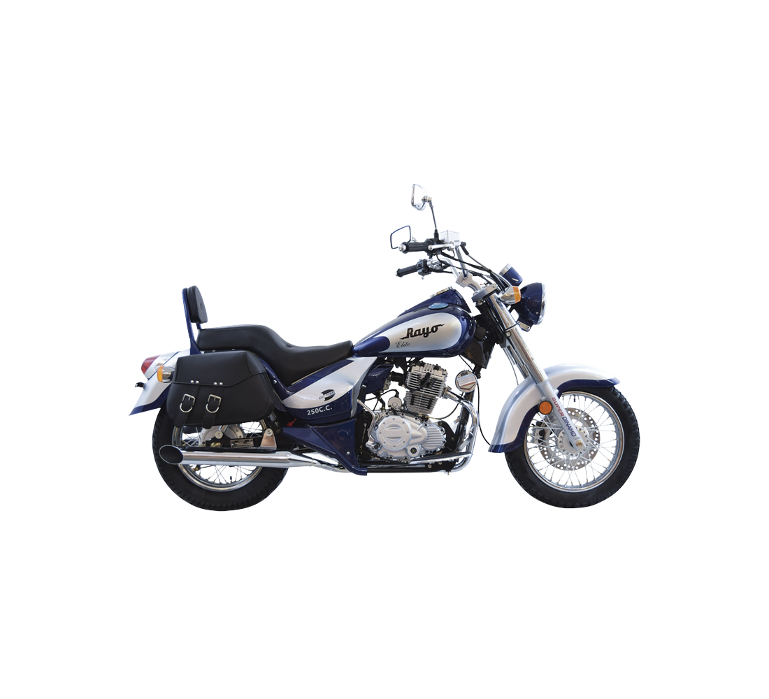 Dinamo Rayo Elite Galeria1 Galgo México