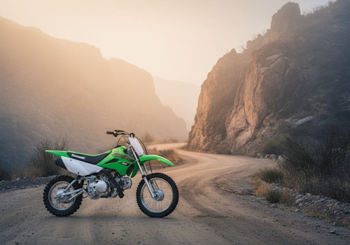 Kawasaki KLX 110 Lifestyle2 Galgo