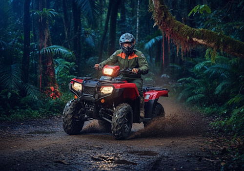 Honda TRX 520 FA6 Direccion Asistida Lifestyle3 Galgo