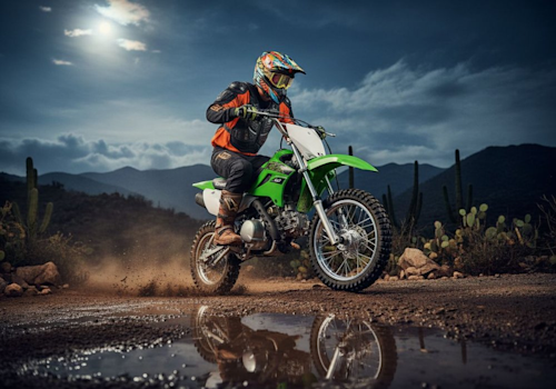 Kawasaki KLX 110 Lifestyle3 Galgo