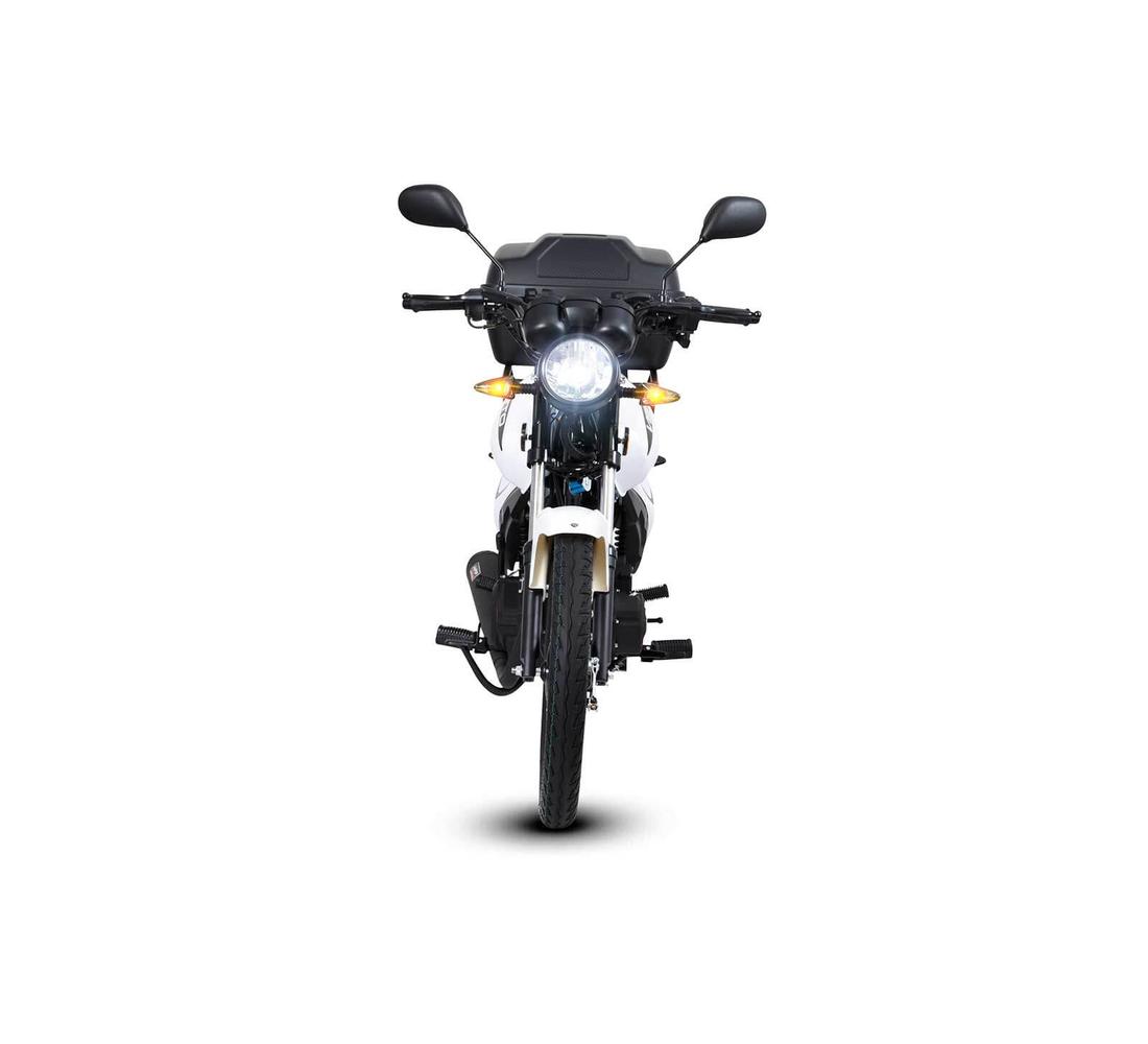 Vento Workman 190 Galeria4 Galgo México