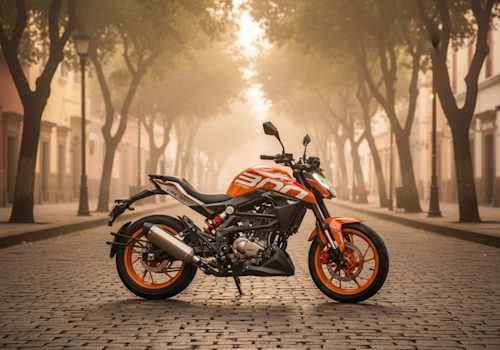 Zmoto CRX 300 Lifestyle2 Galgo