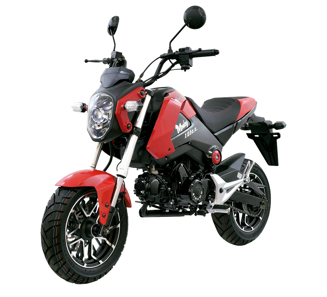 Dinamo Monkey Galeria4 Galgo México