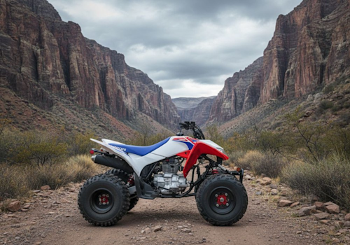 Honda TRX250X Lifestyle2 Galgo