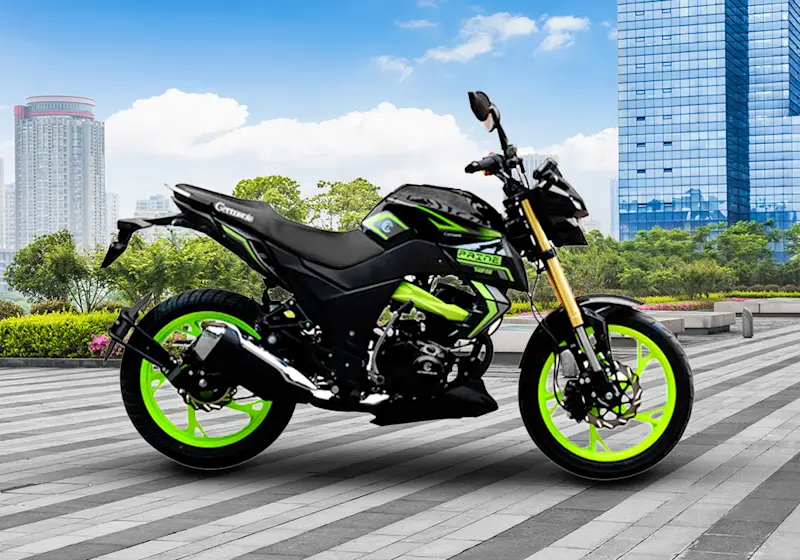 Germania Motorcycles Paine Migrante
