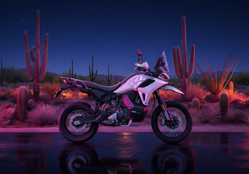 CF Moto 1000MT-X Lifestyle2 Galgo