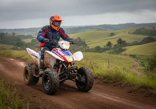 Honda TRX250X Lifestyle3 Galgo
