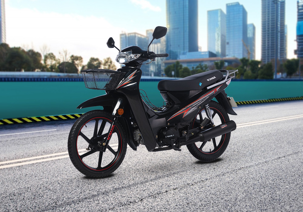 Moto Ronco RC 110 B Galgo Perú