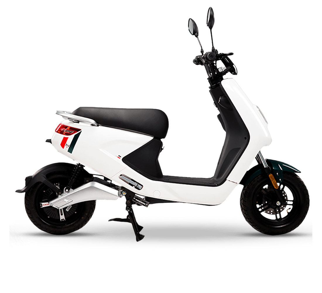 LVN LX 04 Galeria6 Galgo 