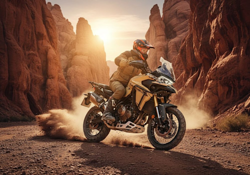 Voge DS625X Lifestyle1 Galgo