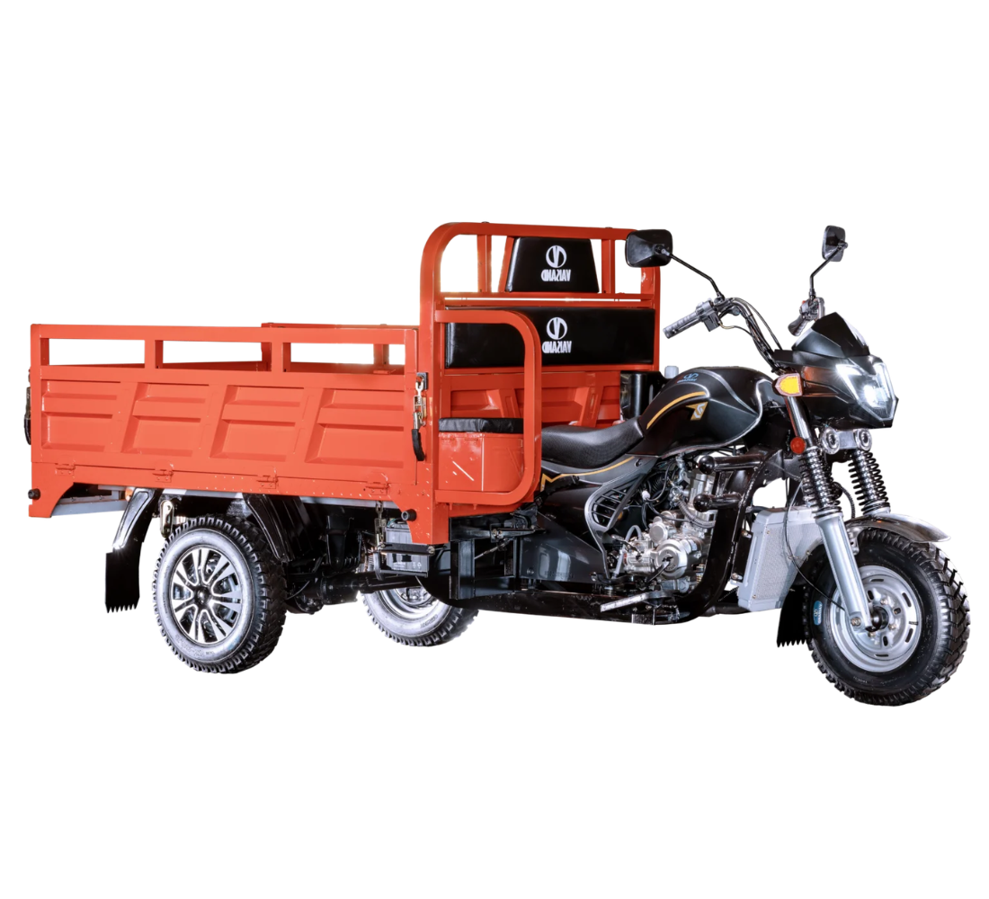 Vaisand DB250ZH Imagen principal Galgo