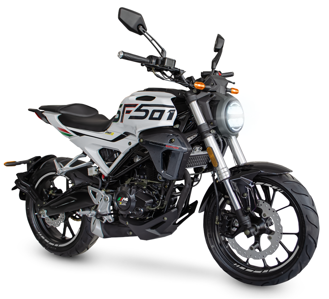 MB SF501 Imagen Principal Galgo México