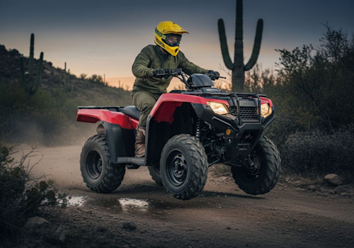 Honda TRX420TM Lifestyle3 Galgo
