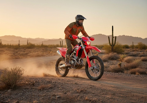 Honda CRF250RX Lifestyle3 Galgo