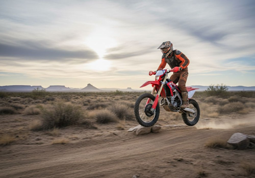 Honda CRF 250RX Lifestyle3 Galgo