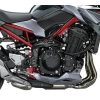 Moto Kawasaki Z900 Galgo México