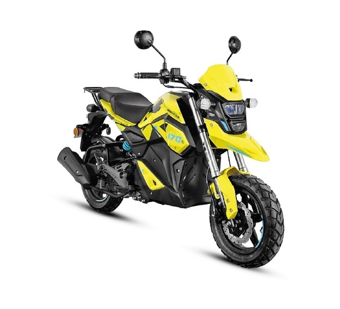 Daytona Flip 170 Galeria2 Galgo