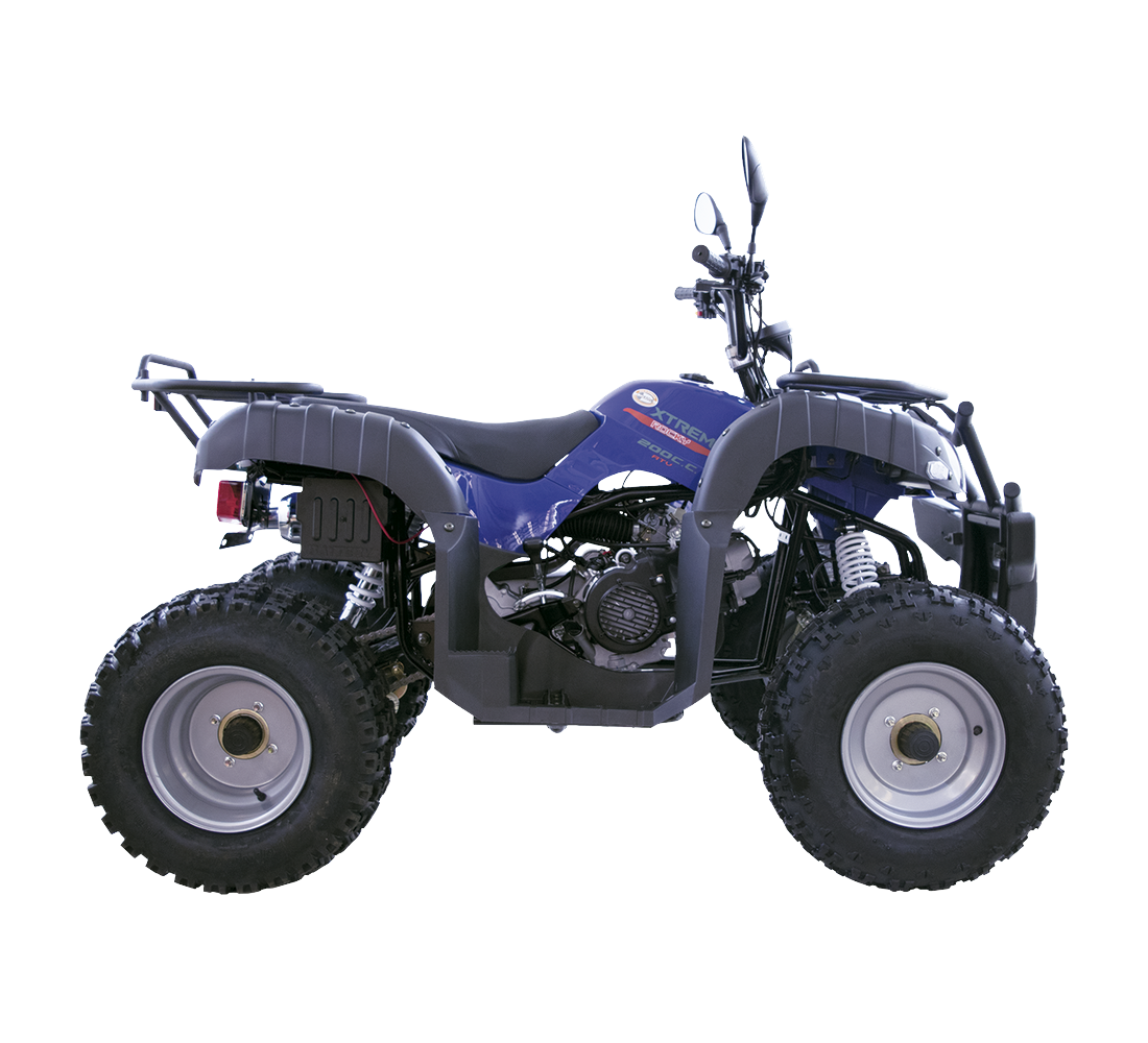 Dinamo Xtreme Rocky Galeria3 Galgo México