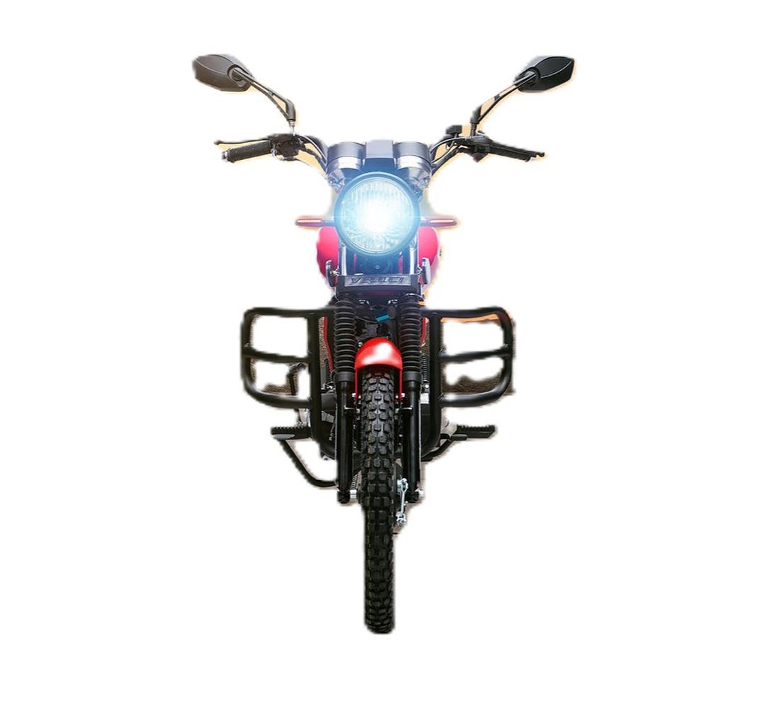 Veloci Deus Galeria1 Galgo