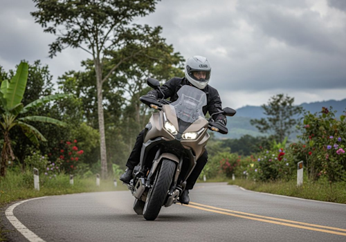 Honda NT 1100 Lifestyle3 Galgo