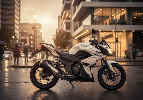 Kawasaki 250 Lifestyle2 Galgo