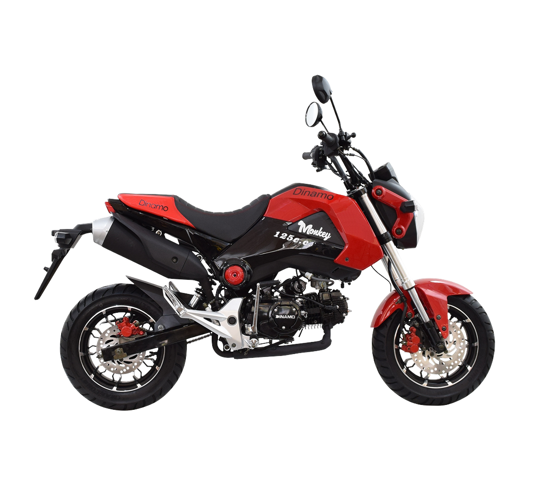 Dinamo Monkey Galeria5 Galgo México