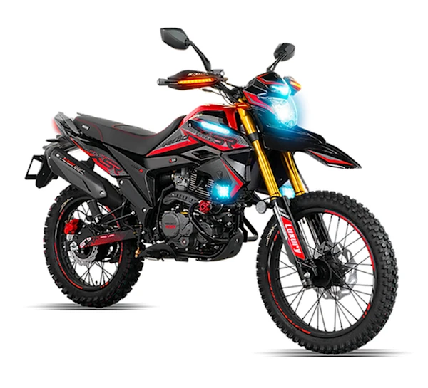 Veloci Steeler Imagen principal Galgo_1