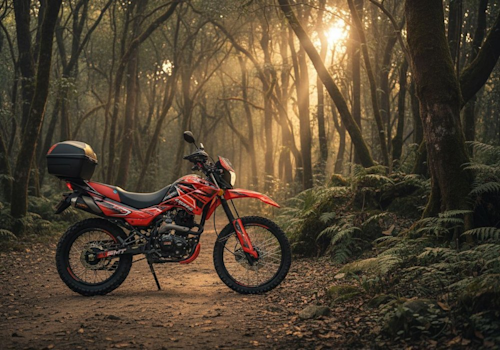 Vento Crossmax 170 Lifestyle2 Galgo