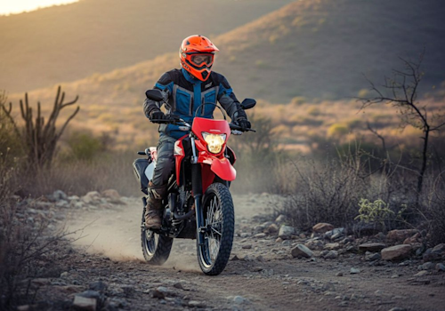 Honda XR 300 L Tornado Lifestyle1 Galgo