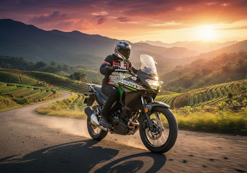 Kawasaki Versys-X 300 Lifestyle3 Galgo