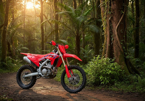 Honda CRF250RX Lifestyle2 Galgo