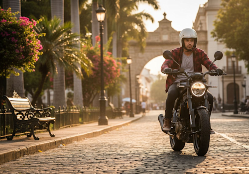 Husqvarna Svartpilen 250 Lifestyle3 Galgo