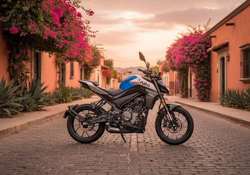 CF Moto 250NK FUN Lifestyle2 Galgo