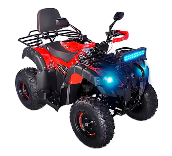 Veloci Beast Imagen principal Galgo