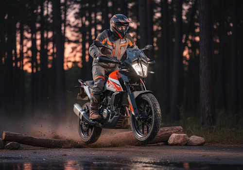 KTM 250 Adventure Lifestyle3 Galgo