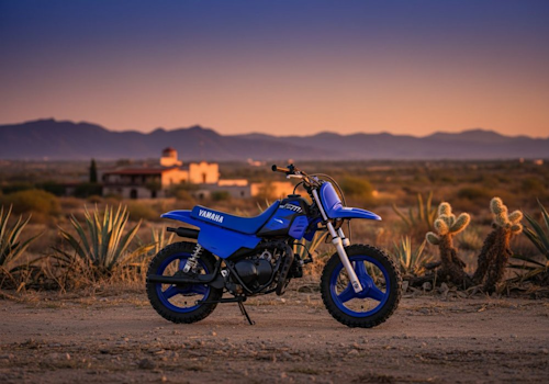 Yamaha PW50 Lifestyle2 Galgo